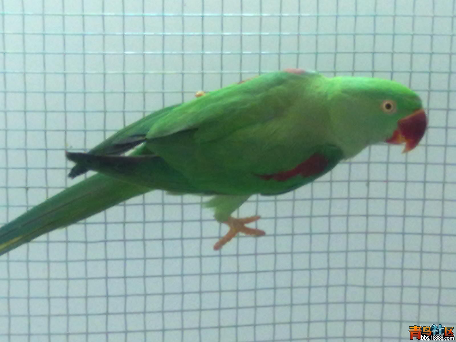 20120307161.jpg