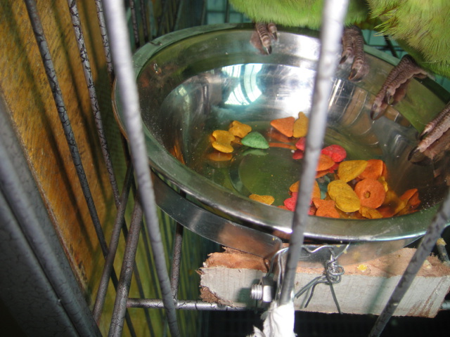 DSC00802.JPG