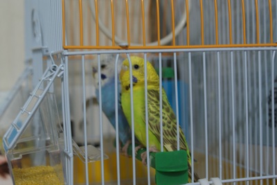 DSC036891.JPG