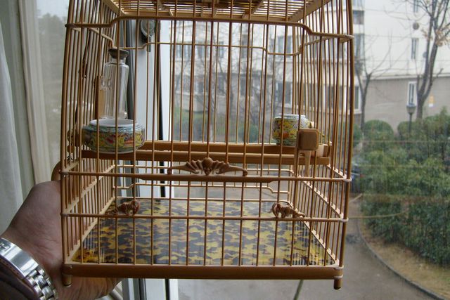 照片 0033.jpg