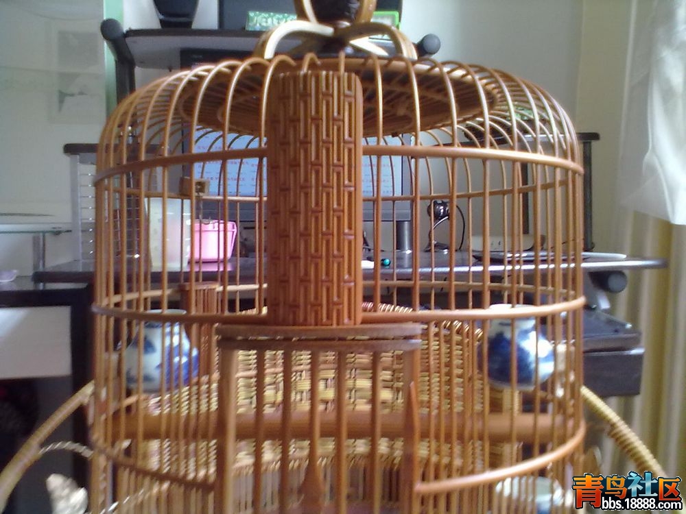 20120313039.jpg