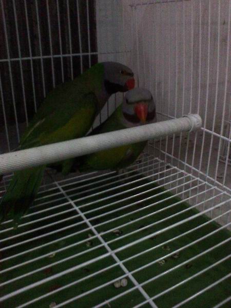 IMG01319.jpg