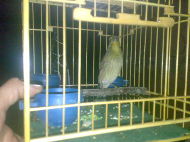 20120321018.jpg