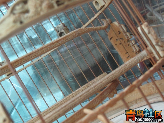 照片 407_调整大小.jpg