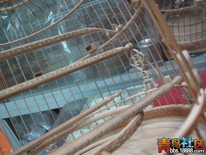 照片 289_调整大小.jpg