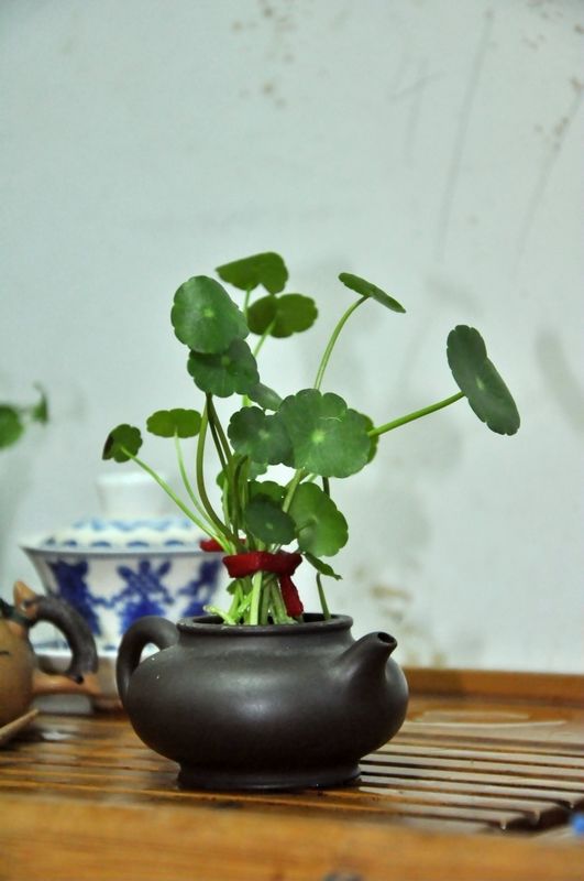 照片 094.jpg