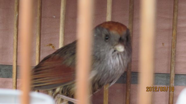 IMG_2390.jpg