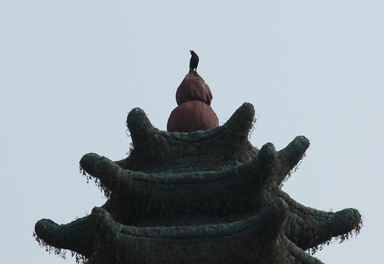 IMG_4820.JPG