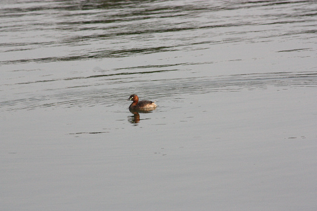 IMG_3272.JPG