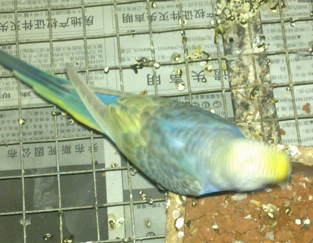 9.jpg