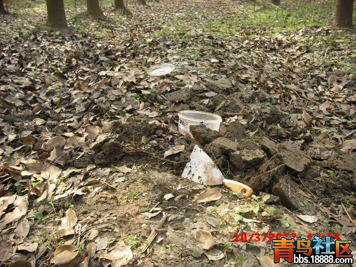 调整大小 CIMG9233.JPG