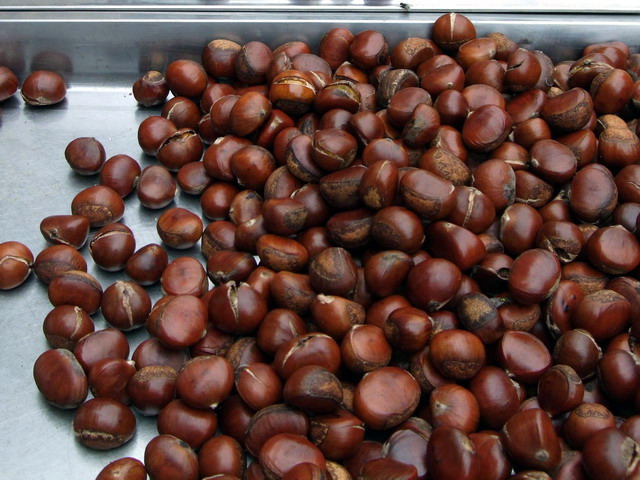 DSCF9765.jpg