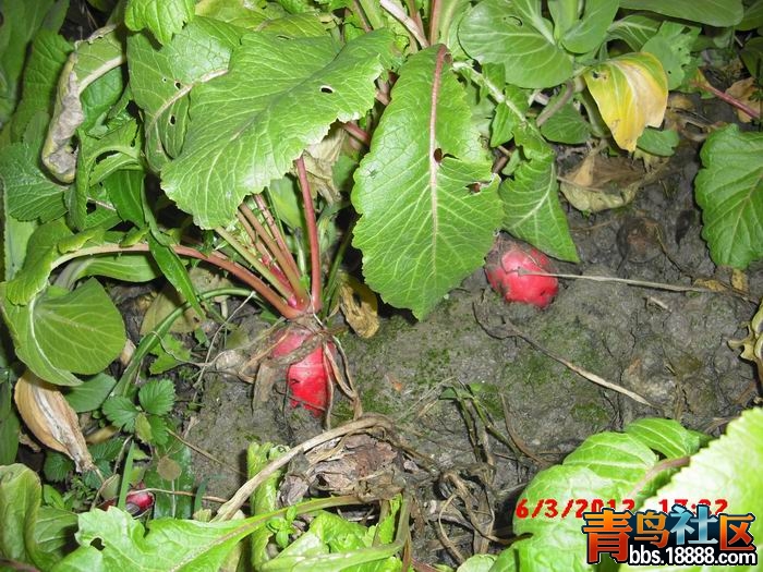 调整大小 CIMG9105.JPG