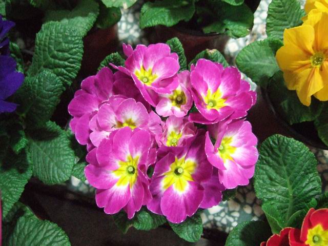 调整大小 DSCF8192.JPG