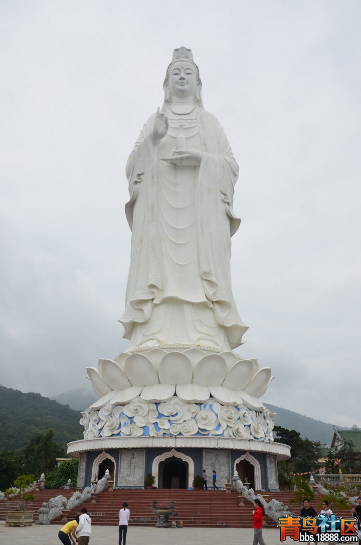 DSC_6669.jpg