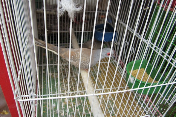 IMG_0119.JPG