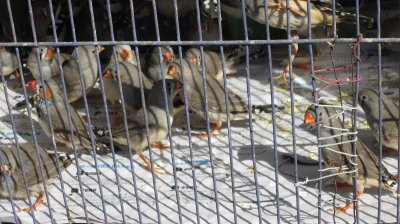 IMG_0400.jpg