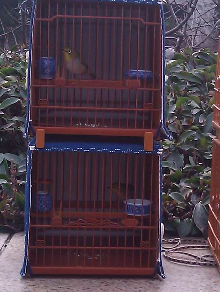IMAG0170.jpg