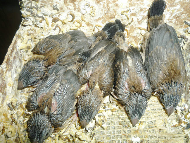 P1040092_副本.JPG