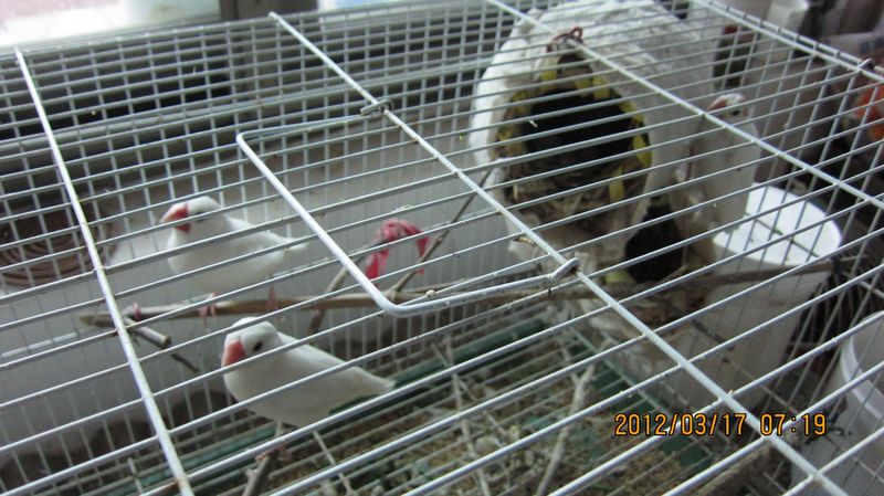 IMG_1401.JPG