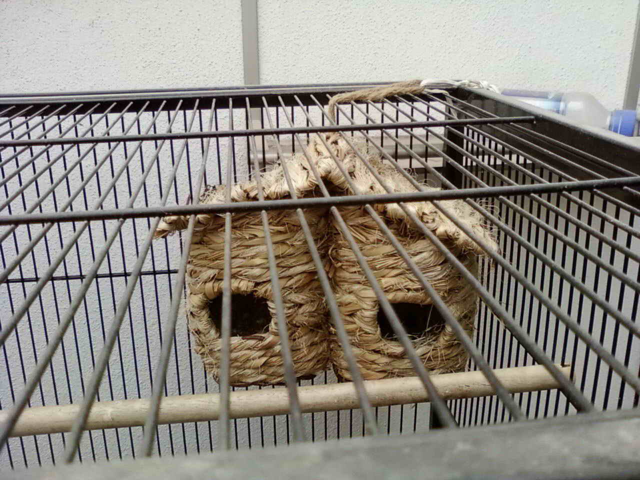 照片0058-1.jpg