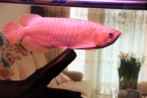 照片 054.jpg