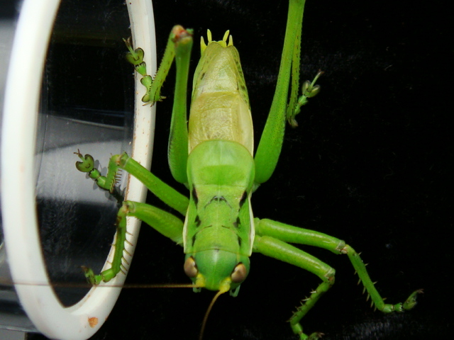 DSC06876.JPG