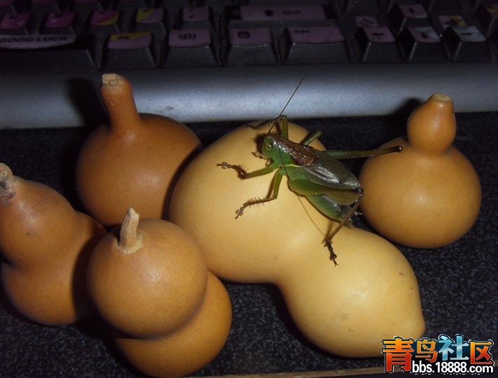 未命名3.jpg