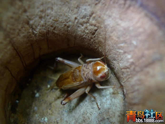 P1010307_调整大小.JPG