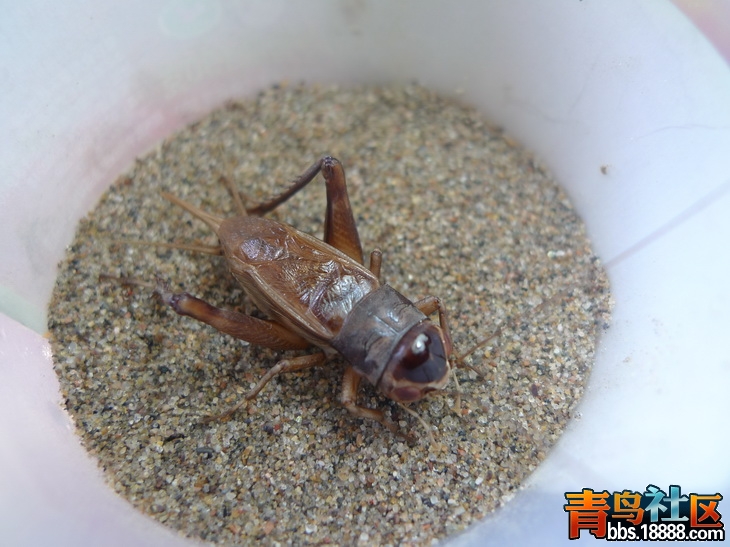 P1010305_调整大小.JPG
