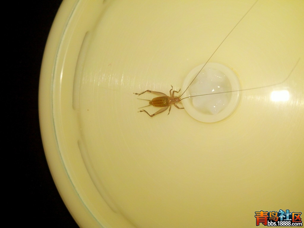 2012-03-29_15-59-48_730~1.jpg