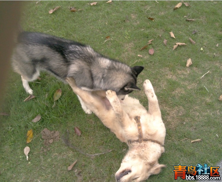 QQ截图20120319015206.jpg
