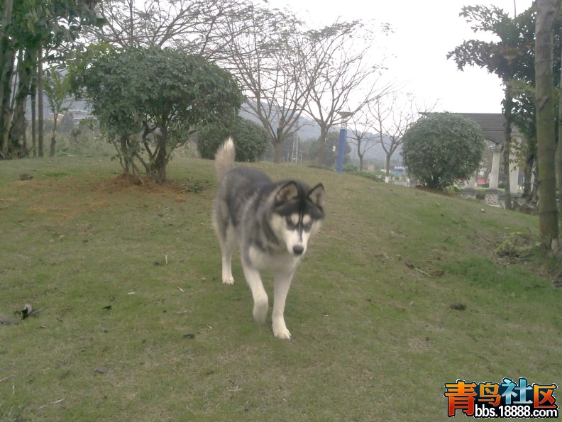 QQ截图20120319015004.jpg
