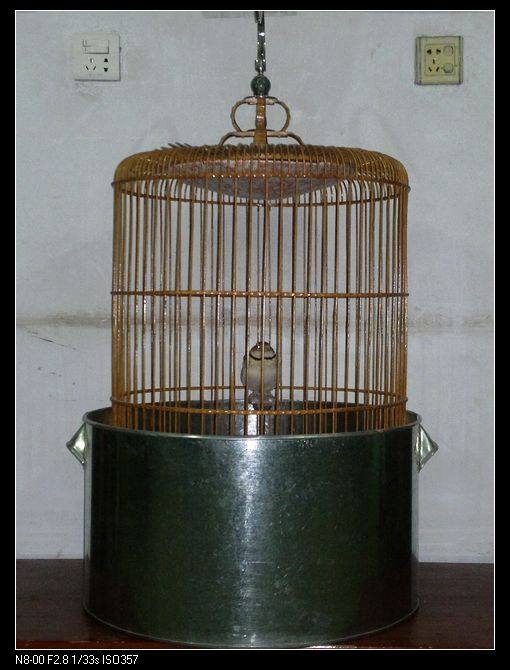 20120330546.jpg