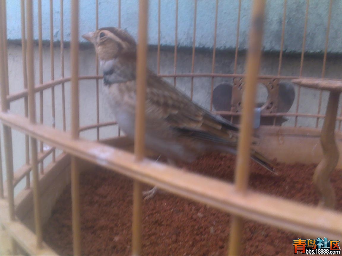 201203101560.jpg