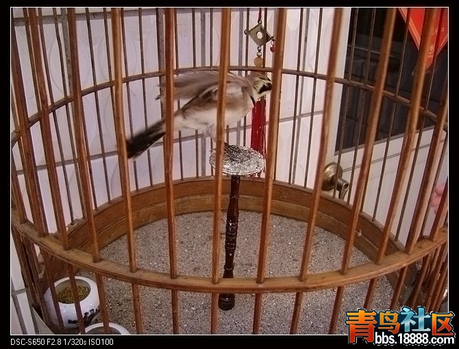 nEO_IMG_DSC01142.jpg