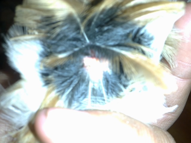 20120316240.jpg