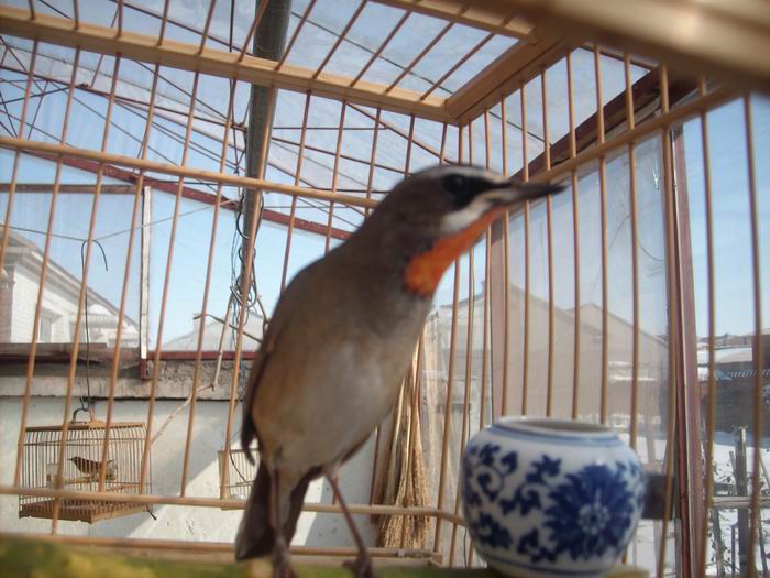 IMG01664.JPG