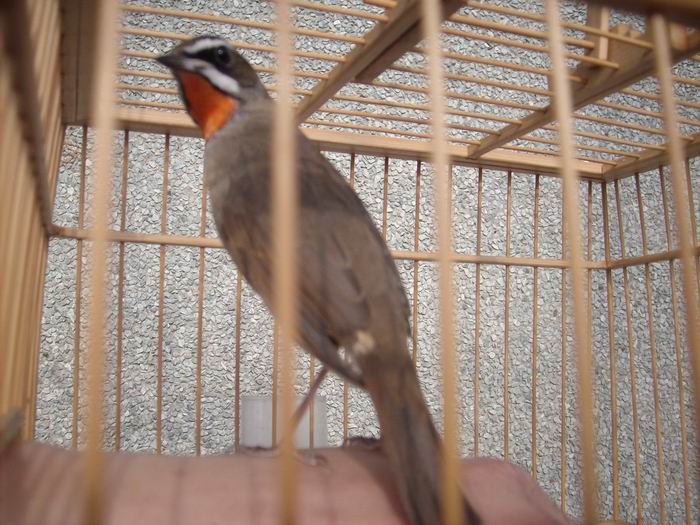 IMG01741.JPG