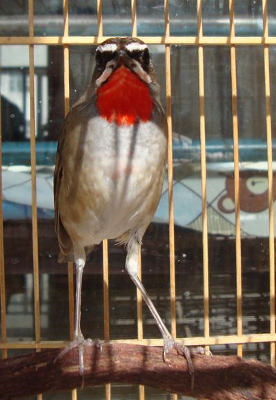 DSC04885.jpg