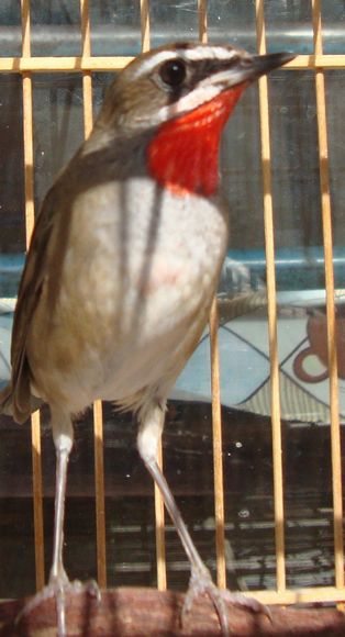 DSC04882.jpg