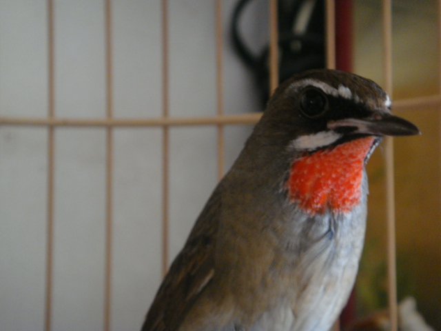 DSC06759.JPG