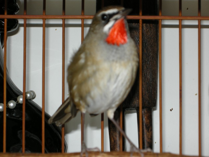 DSCN1720.JPG