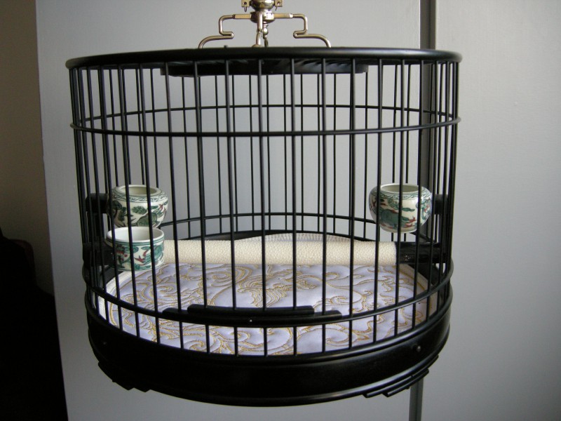 DSCN1615.JPG