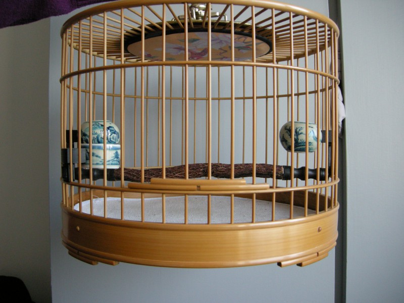 DSCN1613.JPG