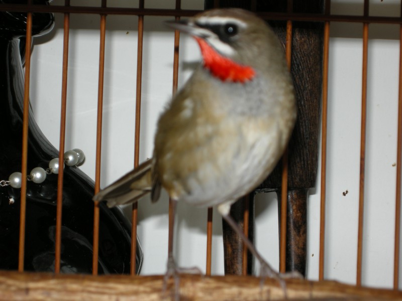 DSCN1706.JPG