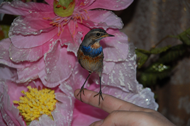 dsc_9213_副本.jpg