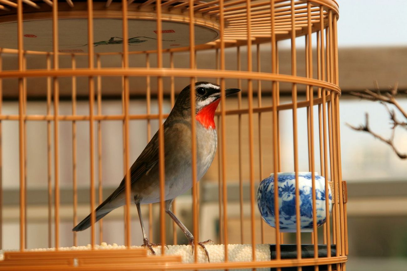 IMG_4434.jpg