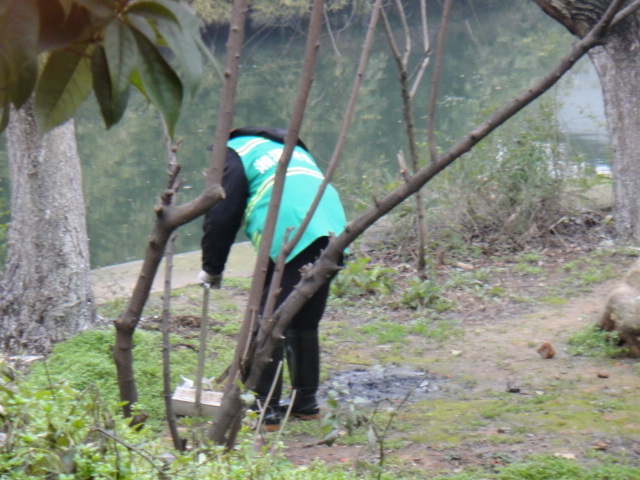 DSC02854.JPG