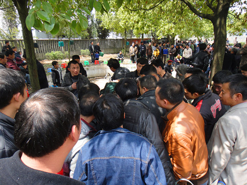 DSC03738_副本.jpg